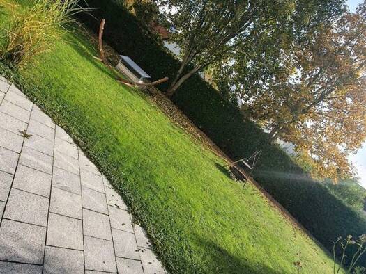 Terrassenwohnung zur Miete 900 € 3 Zimmer 72 m² frei ab 01.06.2026 Donauwörth 86609