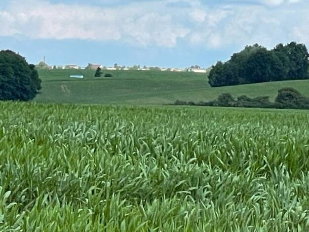 Grundstück zum Kauf 77.142 € Rambow Dorf Mecklenburg 23972
