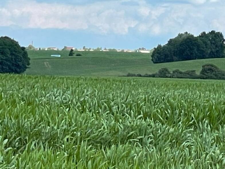 Grundstück zum Kauf 77.142 € Rambow Dorf Mecklenburg 23972