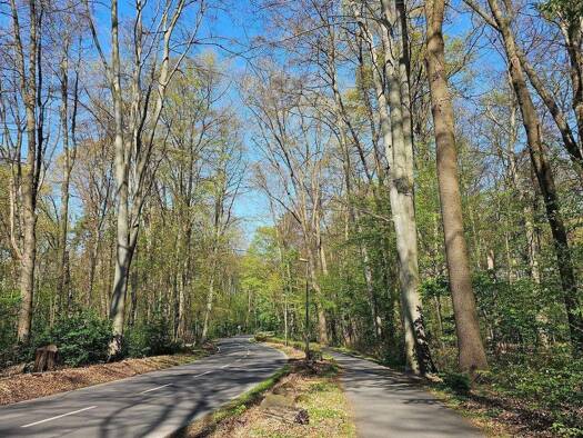 Terrassenwohnung zur Versteigerung 3.950.000 € 6 Zimmer 291 m² EG Müngersdorf Köln 50933