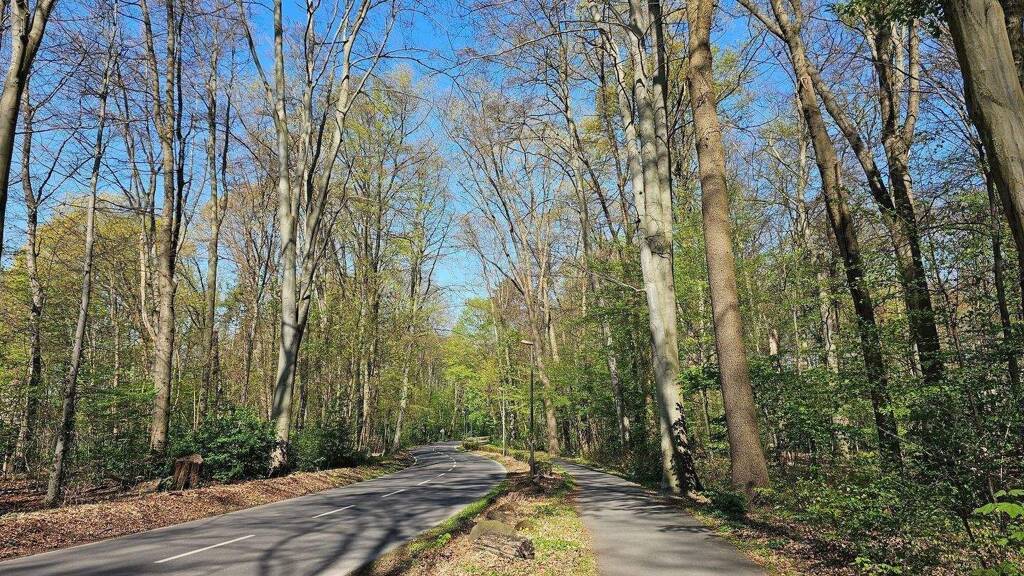 Terrassenwohnung zur Versteigerung 3.950.000 € 6 Zimmer 291 m² EG Müngersdorf Köln 50933