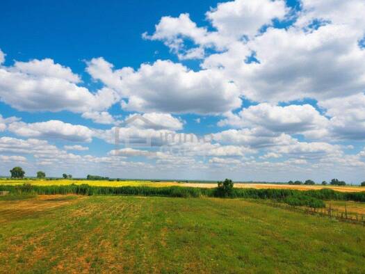 Grundstück zum Kauf 298.000 € 948 m² Grundstück Winden am See 7092