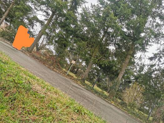 Grundstück zum Kauf 85.000 € 698 m² Grundstück frei ab sofort Schköna Gräfenhainichen 06773