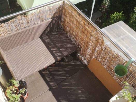 Wohnung zur Miete 700 € 3 Zimmer 72 m² 3. Geschoss frei ab 01.04.2026 Clara Zetkin Strasse Daberstedt Erfurt 99099