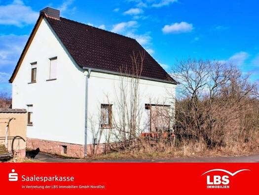 Einfamilienhaus zum Kauf 149.000 € 5 Zimmer 120 m² 1.495 m² Grundstück Wallendorf Schkopau 06258