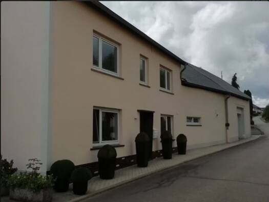 Haus zum Kauf 449.000 € 9 Zimmer 229 m² 1.136 m² Grundstück Geichlingen 54675