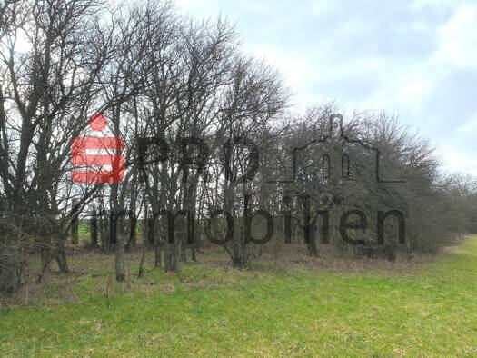 Grundstück zum Kauf 99.000 € 18.870 m² Grundstück Blieskastel 66440