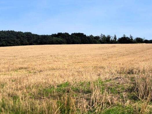 Landwirtschaftliche Fläche zum Kauf 103.977 m² 103.977 m² Grundstück Nieder-Ramstadt Mühltal 64367