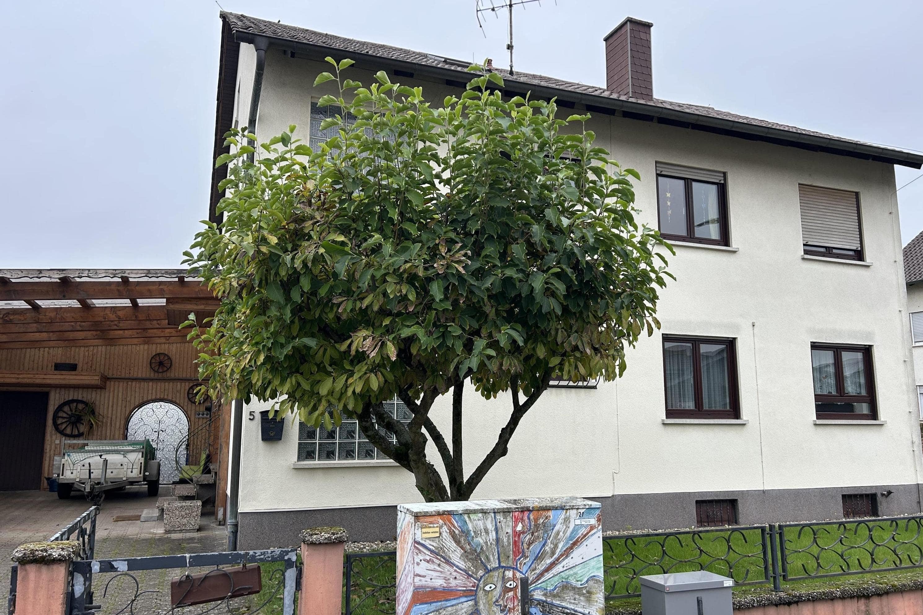 Mehrfamilienhaus zum Kauf 399.000 € 6 Zimmer 142 m²<br/>Wohnfläche 503 m²<br/>Grundstück Neupotz 76777