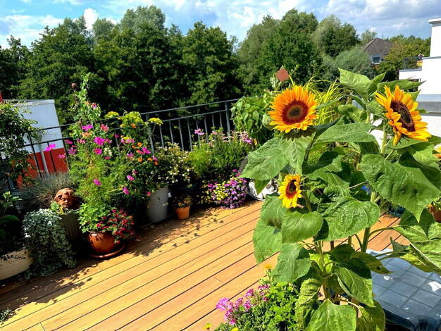 Penthouse zum Kauf provisionsfrei 535.000 € 3 Zimmer 129 m² 3. Geschoss Krebsförden Schwerin (Krebsförden) 19061