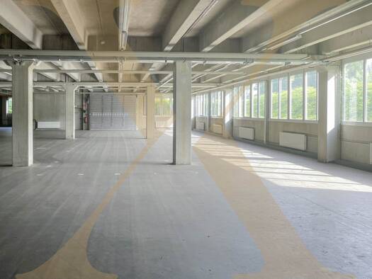 Halle/Industriefläche zur Miete 6.500 € 1.000 m² Lagerfläche Waldegg Linz 4020