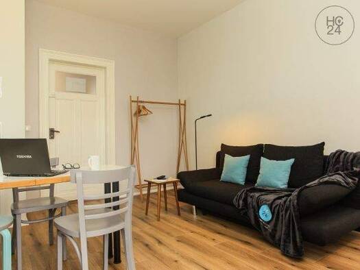Wohnung zur Miete Wohnen auf Zeit 800 € 2 Zimmer 31 m² frei ab 02.01.2026 Neustadt-Neuschönefeld Leipzig 04315