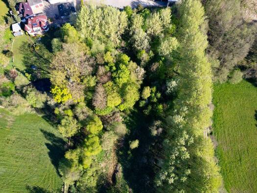 Grundstück zum Kauf 10.315 m² Grundstück frei ab sofort Wildeshausen 27793