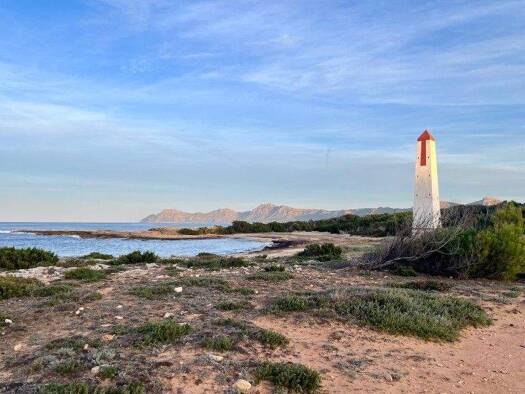 Grundstück zum Kauf 339.000 € 363 m² Grundstück Santa Margalida 07459