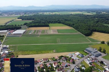 Grundstück zum Kauf provisionsfrei 80.000 € 347 m² Grundstück Rust 77977