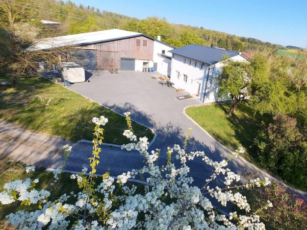 Bauernhaus zum Kauf provisionsfrei 985.000 € 7 Zimmer 180 m² 39.000 m² Grundstück Buchen Buchen (Odenwald) 74722