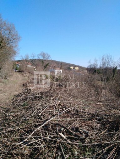 Land-/Forstwirtschaft zum Kauf 85.000 € Viskovo