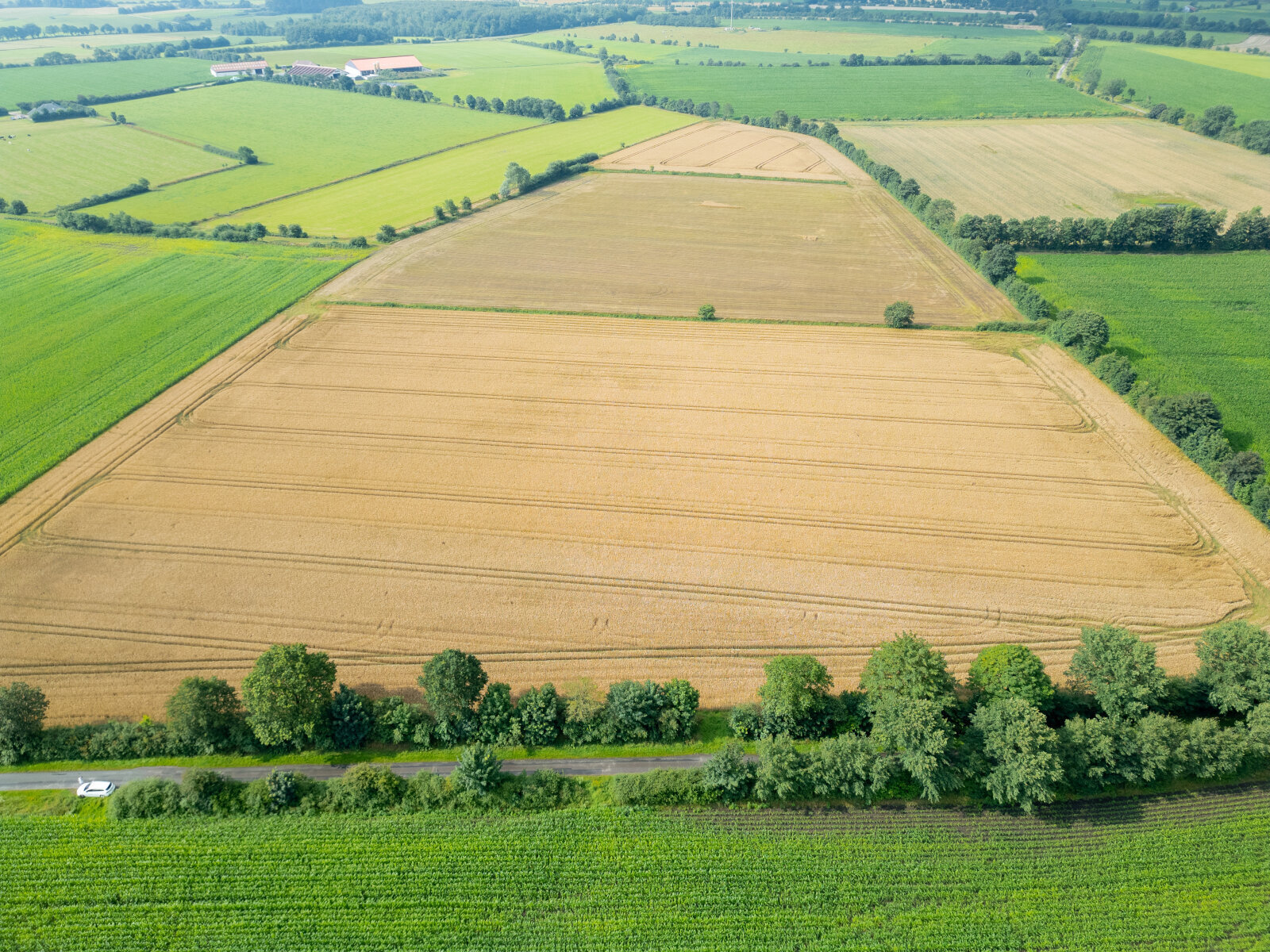 Land-/Forstwirtschaft zum Kauf 42.257 m²<br/>Grundstück Oldersbek 25873