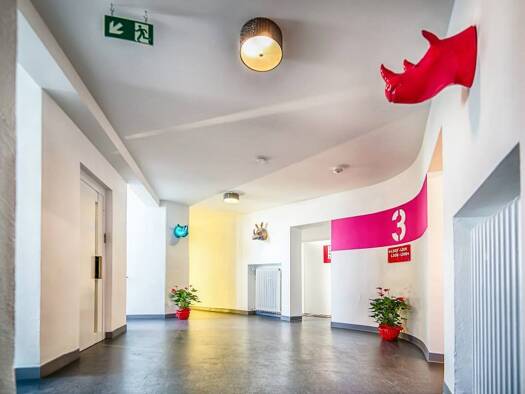 Studio zur Miete Wohnen auf Zeit 900 € 1 Zimmer 30 m² Löhrstraße 100 Mitte Koblenz 56068