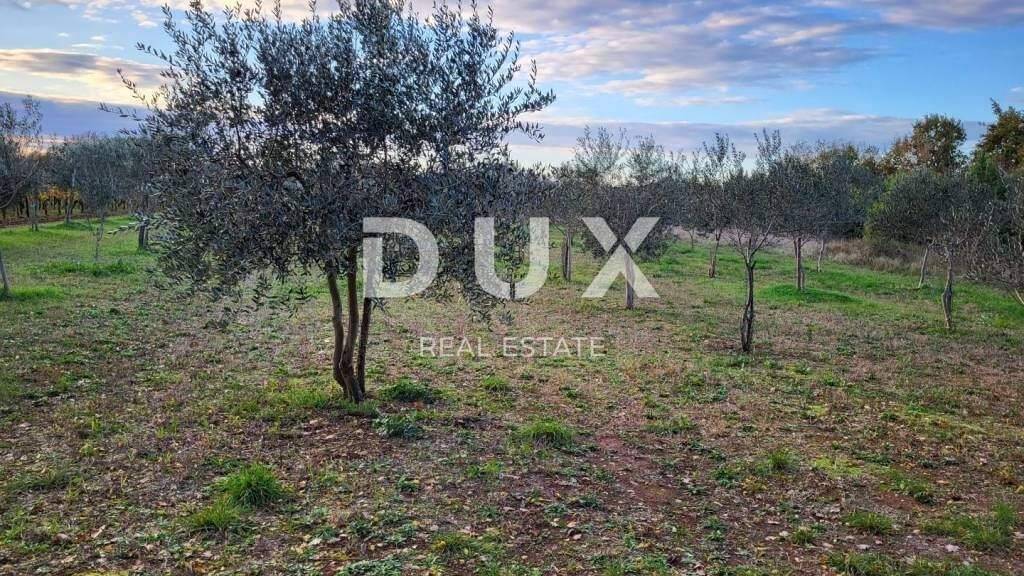 Land-/Forstwirtschaft zum Kauf 90.000 € Svetvincenat