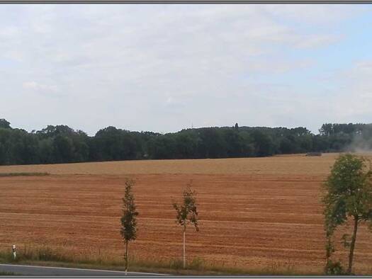 Einfamilienhaus zum Kauf 279.000 € 8 Zimmer 165 m² 875 m² Grundstück Bad Sassendorf Bad Sassendorf 59505