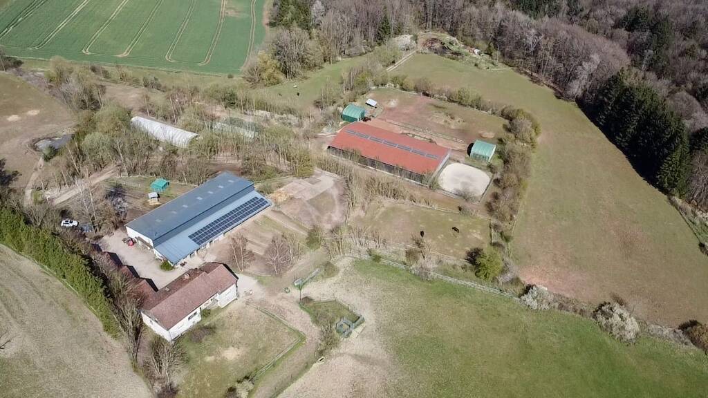 Einfamilienhaus zum Kauf 1.300.000 € 321,4 m² 185.000 m² Grundstück Battweiler 66484