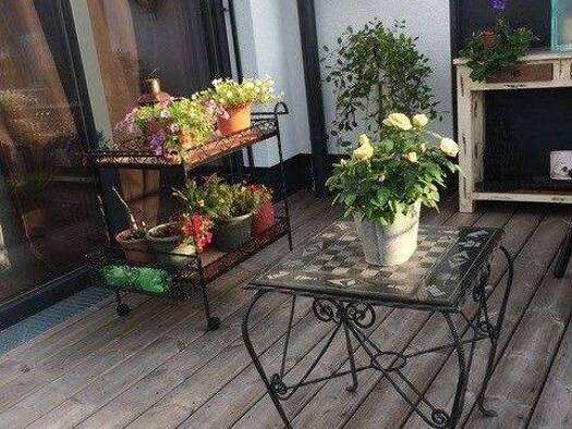 Penthouse zur Miete 855 € 1 Zimmer 45 m² Bürmoos 5111