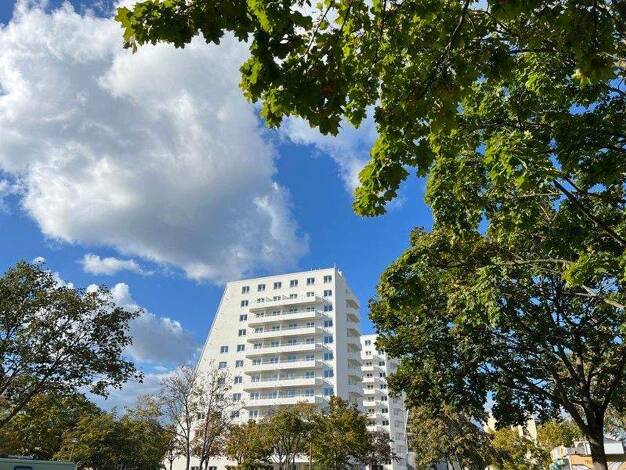 Studio zur Miete 524 € 1 Zimmer 27,6 m² 11. Geschoss Teterower Ring 47 Kaulsdorf Berlin 12619