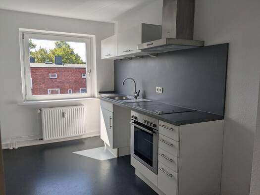 Wohnung zur Miete 520 € 2 Zimmer 47,3 m² 4. Geschoss Sievekingsallee Hamm Mitte 20535