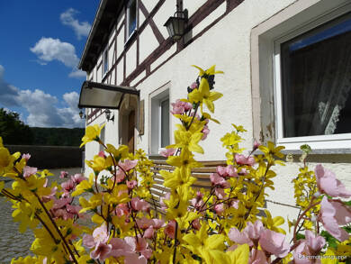 Einfamilienhaus zum Kauf 217.000 € 8 Zimmer 221 m² 2.000 m² Grundstück Coswig 01640
