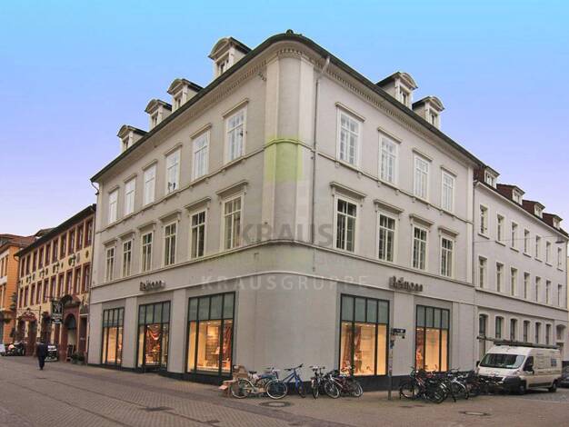 Büro zur Miete provisionsfrei 17 € 3 Zimmer 76,8 m² Bürofläche Altstadt Heidelberg 69117