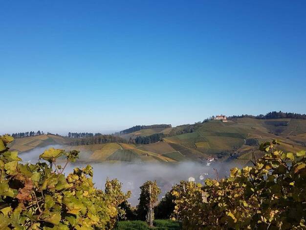 Grundstück zum Kauf provisionsfrei 495.000 € 1.167 m² Grundstück Durbach 77770