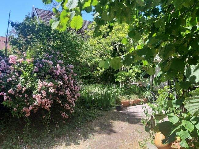Einfamilienhaus zum Kauf - Ansicht 2
