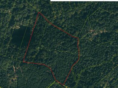 Land-/Forstwirtschaft zum Kauf 90.000 € 29.940 m² Grundstück Dieterskirchen Dieterskirchen 92542