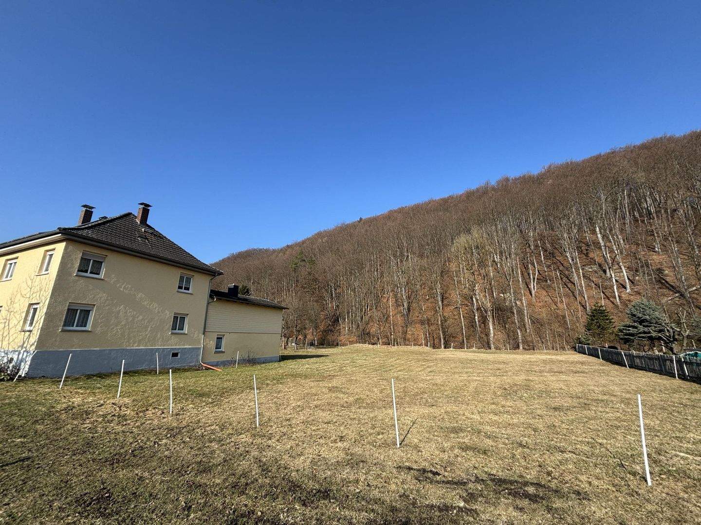 Immobilie in Geratal - Attraktives Anwesen: Wohnen und Arbeiten auf großzügigem Traumgrundstück direkt in Gräfenroda - Bild 4