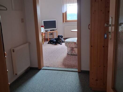 Maisonette zur Miete 400 € 1,5 Zimmer 30 m² Geschoss 2/3 frei ab sofort Meiningen Meiningen 98617