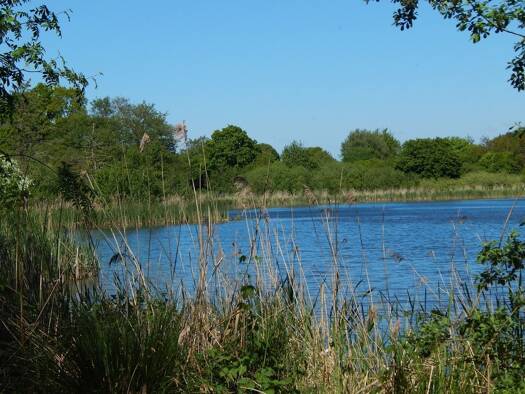 Grundstück zum Kauf 2.550.000 € 232.902 m² Grundstück Owschlag 24811