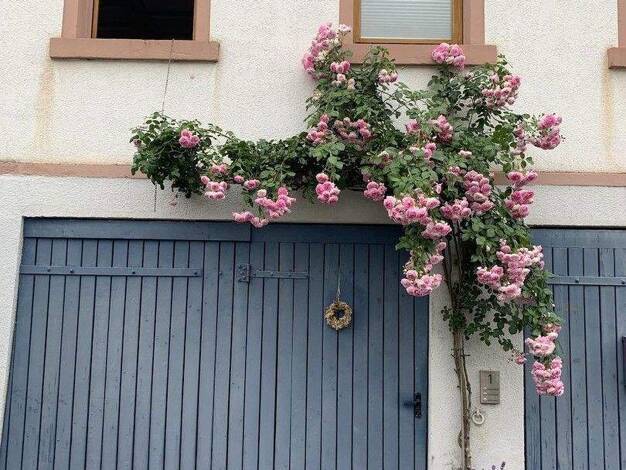 Mehrfamilienhaus zur Miete 1.500 € 6 Zimmer 167 m² 125 m² Grundstück frei ab 01.05.2026 Ober-Klingen Otzberg-Ober-Klingen 64853