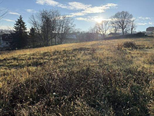 Grundstück zum Kauf 332.000 € Obere Höhenstraße Wiesen 7203