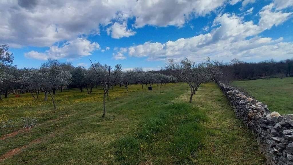 Land-/Forstwirtschaft zum Kauf 260.000 € Peruski, Kavran, Pavicini