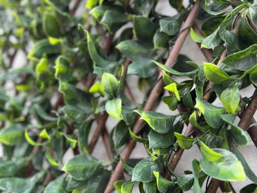 Wohnung zur Miete 1.240 € 5,5 Zimmer 160 m² frei ab 01.07.2026 Merfeld Dülmen 48249