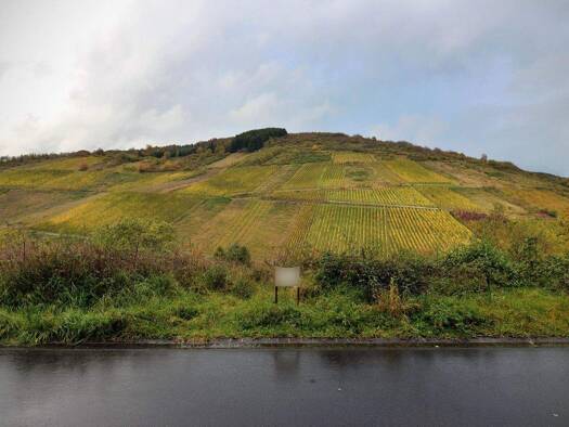 Grundstück zum Kauf 88.000 € 636 m² Grundstück St.-Laurentius-Straße 5 Waldrach 54320