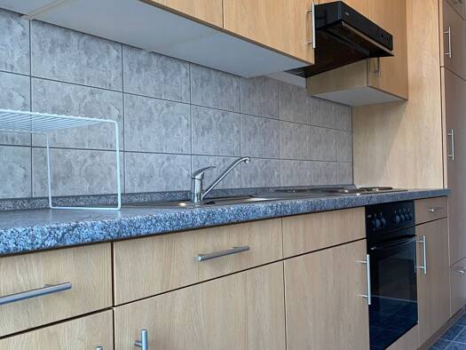 Wohnung zur Miete 308 € 2 Zimmer 55 m² frei ab 01.10.2026 Otto-Planer-Straße 9 Ebersdorf Ebersdorf 09131
