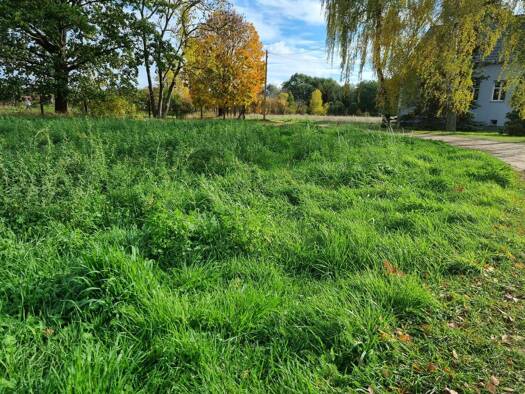 Grundstück zum Kauf provisionsfrei 123.690 € 651 m² Grundstück Treuenbrietzen 14929