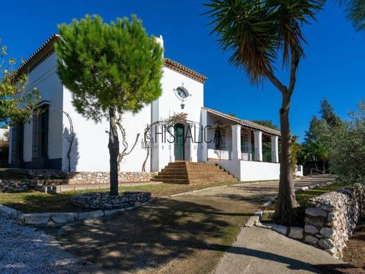 Chalet zum Kauf 295.000 € 3 Zimmer 194 m² 5.669 m² Grundstück Cantillana 41320