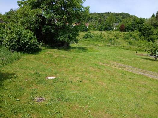Grundstück zum Kauf 95.000 € 1.000 m² Grundstück Schönberg 94513