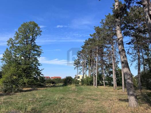 Grundstück zum Kauf 230.000 € 824 m² Grundstück Gänserndorf 2230