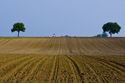 Landwirtschaftliche Fläche zum Kauf 80.000 m²<br/>Fläche Eschendorf Ostrach 88356