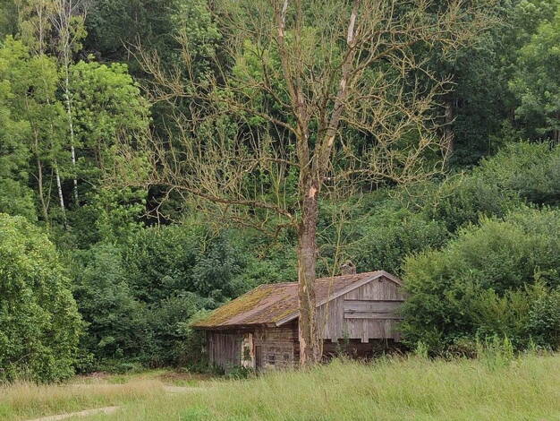 Bauernhaus zum Kauf provisionsfrei 145.000 € 3 Zimmer 60 m² 11.475 m² Grundstück Birnkofen Adlkofen 84166