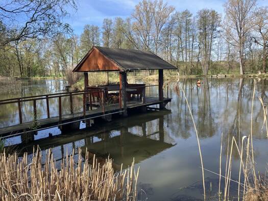 Einfamilienhaus zum Kauf 695.000 € 21 Zimmer 600 m² 18.000 m² Grundstück Splau Bad Schmiedeberg 06905